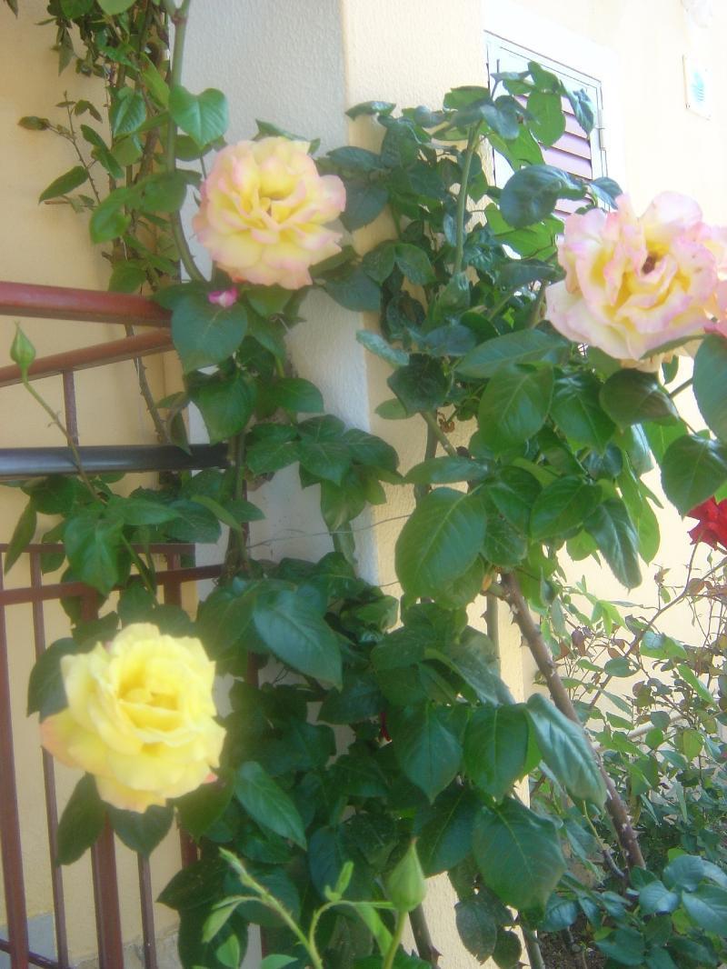 Roda Pearl Resort מראה חיצוני תמונה