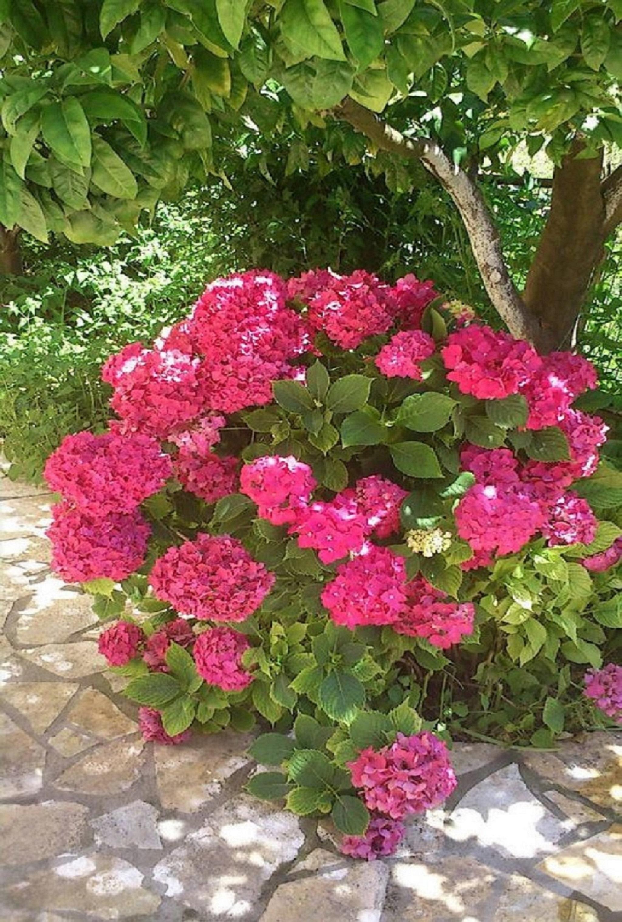 Roda Pearl Resort מראה חיצוני תמונה